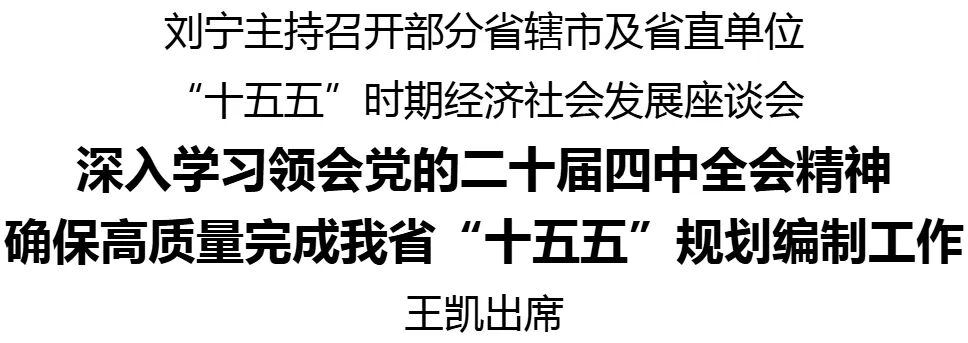 刘宁主持召开部分省辖市及省直单位“十五五”时期经济社会发展座谈会 王凯出席