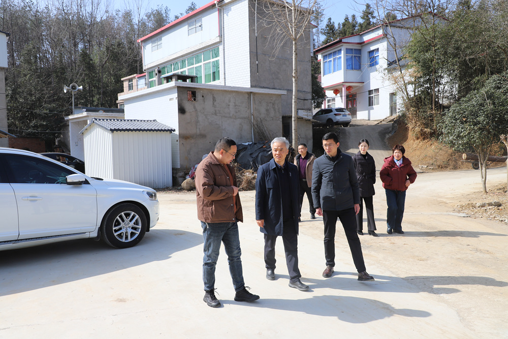 1770884275269039.jpg 2_副本.jpg